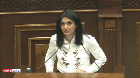 Մահ անպայման. փոխնախարարը ԱԺ ամբիոնից ցուցադրեց սարսափազդու նկարներ