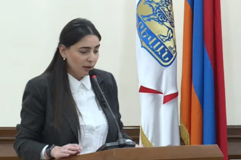 Չքնաղ ծրագիր է, որը «զարգացում» բառը չի ներառում. Թեհմինա Վարդանյանը քննադատեց