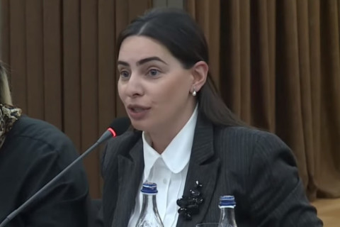 «Բարի հայթայթում». Թեհմինա Վարդանյանը՝ քաղաքային իշխանություններին