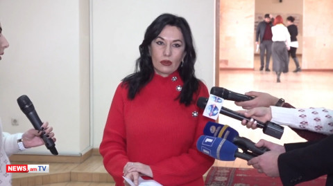 Համազեկուցողներին մեծապես մտահոգում է ատելության խոսքի գերդոզան Հայաստանում. Զոհրաբյան