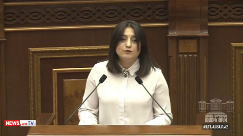 «Իմ քայլի» պատգամավորն ԱԺ ամբիոնից խոսեց «Ճվճվ Արոյի» որդու մասին