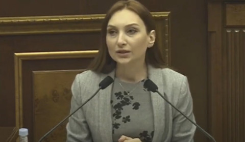 Մեր միակ տարաձայնությունն էր, որ էլ ավելի խիստ օրենք ենք ուզում ավելի խիստ չափորոշիչներով. Մակունց