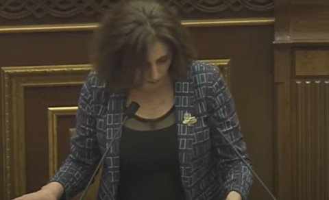 ԿԳՄՍ նախարարության որոշումը խուճապ է առաջացրել. Սոֆյա Հովսեփյան