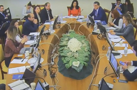 «Անցած տարի 2 ձվային միջադեպ տեղի ունեցավ». Թագուհի Ղազարյանը՝ Արման Թաթոյանին