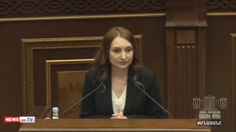 «Լուսավոր Հայաստանն» ԱԺ է բերում խուլիգանական խմբակների օրակարգը. Լիլիթ Մակունց