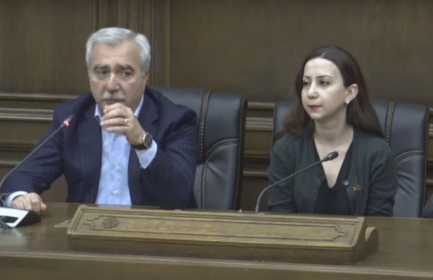 Դա կապված է նախկին իշխանությունների օլիգարխիկ թևի հետ. Անդրանիկ Քոչարյանը` մաքսանենգ ինքնաթիռի մասին