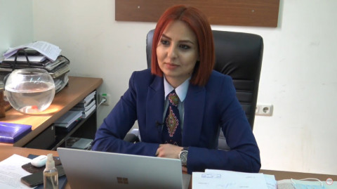 Ինչպե՞ս մեկ օրում այդքան վարակակիր ավելացավ, թվերը կասկածներ են հարուցում. Անի Սամսոնյան