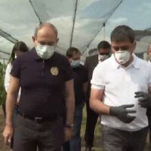 Նիկոլ Փաշինյանը Արարատի մարզի Ազատավաան գյուղում ծանոթանում է գյուղատնտեսական աշխատանքներին