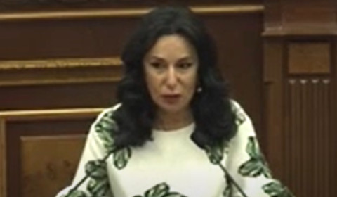 Պետք չի կյանքը զոհաբերել, կեղծ օրակարգեր մի բերեք, թիթեռ եք նկարում. Զոհրաբյանը՝ Վահագն Հովակիմյանին