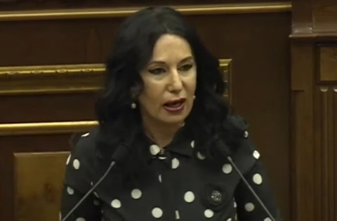 Կառավարությունն ամեն ինչ արե՞լ է, որ այսօր չխոսի դուբինկաներով առողջություն պարտադրելու մասին. ԲՀԿ