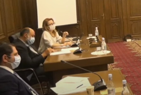 Իհարկե, մեղավորներ միշտ կարելի է փնտրել. Պապիկյանը՝ քաղավիացիայում ստեղծված իրավիճակի մասին