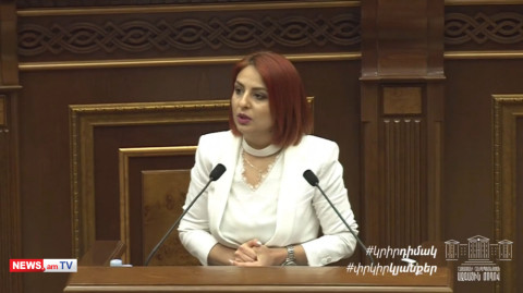 Պարոն վարչապետ, դուք շատ եք խաղում քաղաքացու բարոյական արժանապատվության հետ. Անի Սամսոնյան