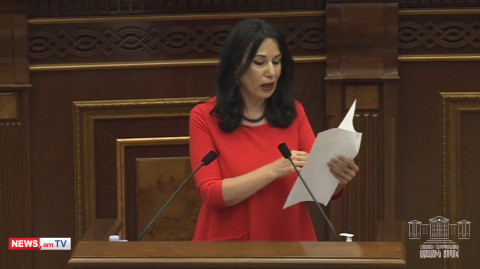 Տեղից չբղավեք եւ նստեք ձեր տեղը. Նաիրա Զոհրաբյանը՝ ԱԺ ամբիոնից