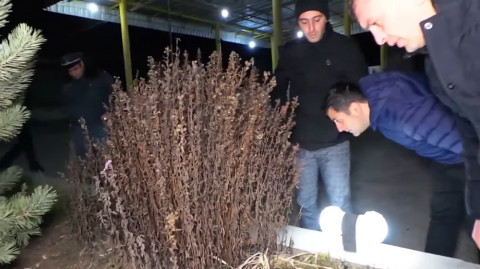 Դիլիջանում վիճաբանության ընթացքում անձանցից մեկը կրակել է մյուսի ուղղությամբ