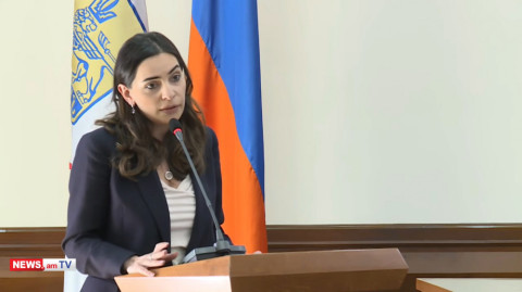 Սթափվեք, ցանկացած սրտիկող համարվում է հողատուի կողմնակից. Թեհմինա Վարդանյանը՝ «Իմ քայլին»