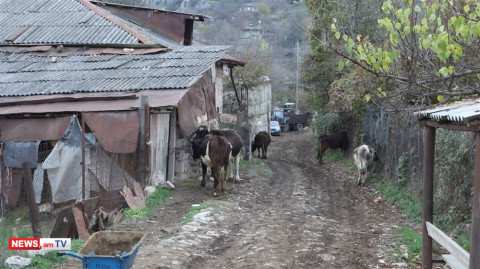 Սյունիքի մարզի Դավիթ Բեկ գյուղի արոտավայրերը մնացել են թշնամու վերահսկողության տակ