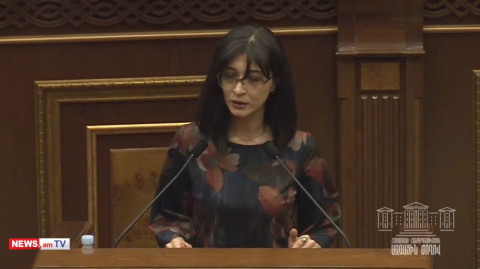 Մենք ունենք լրջագույն խնդիրներ եւ այդ խնդիրների անունն ընդդիմություն է. Արփի Դավոյան