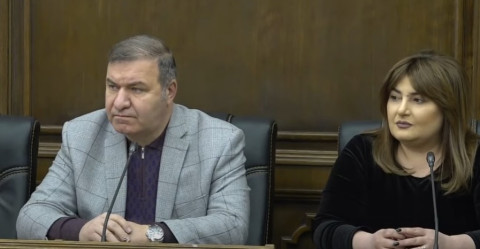 Փաշինյանը մանիպուլյացիաներ անելու հարցում իրենը հավասարը չունի. Իվետա Տոնոյան