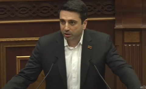 Փաշինյանի շնորհիվ ԱԺ-ում հայտնված Աննա Գրիգորյանն իր գնալուց պետք է սկսի. Ալեն Սիմոնյան