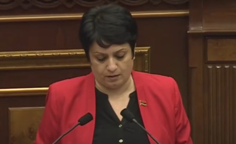 Նախարարի իսկի պետքն էլ չի, թե այստեղ ինչ ենք քննարկում. Սրբուհի Գրիգորյանը՝ Դումանյանի մասին