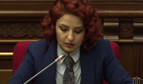 Թուրքական ապրանքը կարող է մուտք գործել Վրաստան, վերագրանցվել և մտնել Հայաստան. Սամսոնյանը՝ նախարարին