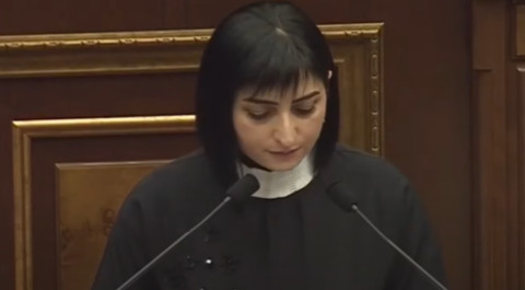 Ձեզ տնտեսական ոստիկանապետ եք հռչակե՞լ. Թագուհի Թովմասյանը՝ Գեղամ Գեւորգյանին