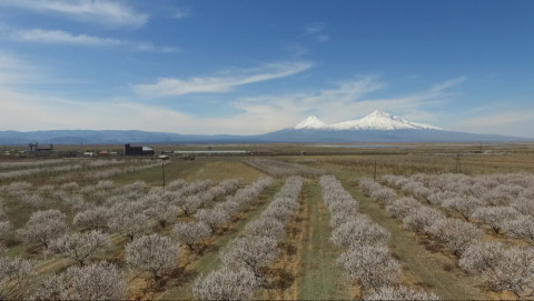 Ամենաշոգ ապրիլը 1975 թվականից ի վեր․ Հայաստանում անոմալ եղանակ է
