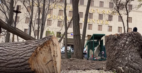 Երևանում մի ամբողջ այգի է ոչնչացվում. իրանցի սեփականատերը կառուցապատում է սկսել