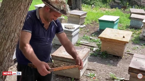 Պիտի հետը ապրես, իր կյանքը հասկանաս. սահմանամերձ Դիցմայրիի մեղվապահը