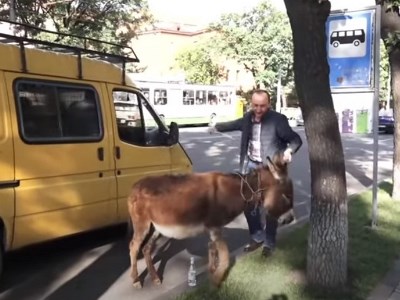 «Իլհամիկի հետ եկել ենք՝ մեր շաշին տանենք». իջեւանցին էշով եկել է՝ Փաշինյանին տանելու