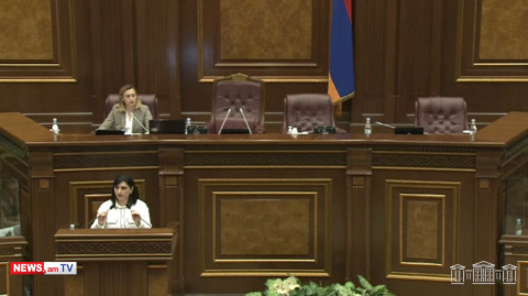 «Իդիոտկա». Լենա Նազարյանի արձագանքը՝ Թագուհի Թովմասյանի ելույթին
