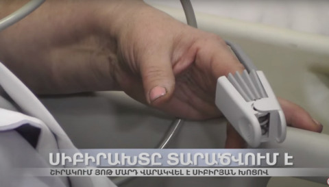 Ինչ անել՝ սիբիրյան խոցով չվարակվելու համար