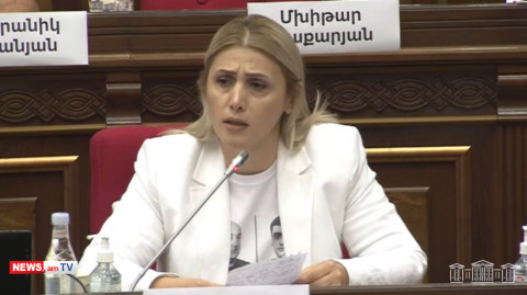 Պատգամավորի անձեռնմխելիությունը ԿԸՀ որոշումով չի կարող հաղթահարվել. Էլինար Վարդանյանը՝ դատախազին