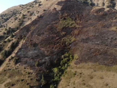 «Խոսրովի արգելոց»-ում հրդեհը մարվել է. մոտ 3 հա բուսածածկույթ եւ 20 ծառ է այրվել