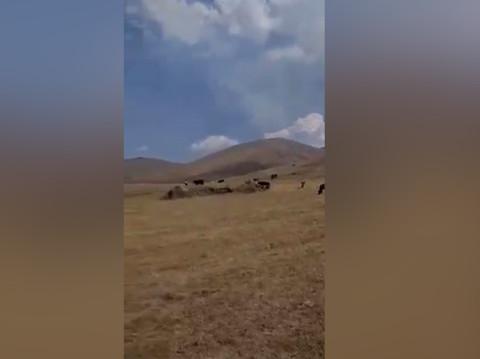 Գեղամասարում ադրբեջանցիները ամբողջ տարվա անասնակերը մի քանի ակնթարթում ոչնչացրել էին
