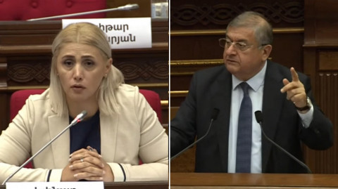 Դատարանները կալանքը կիրառում են քաղաքական նպատակներով. Էլինար Վարդանյանը՝ Ջհանգիրյանին