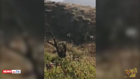 Կադրեր «Արևիկ» ազգային պարկի տարածքում բռնկված հրդեհից