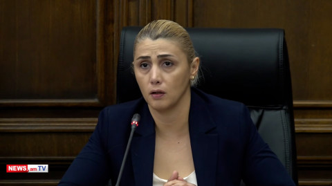 Իշխանությունը լրագրողներին ասում է՝ մենք օրենքը կընդունենք, դուք էլ խելոք կաշխատեք. Էլինար Վարդանյան