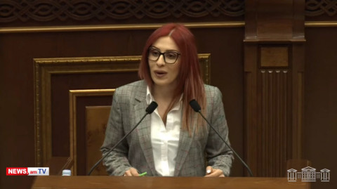 Պարոն Թորոսյան, առնվազն բարոյական չէ դասեր տալ. Ագնեսա Խամոյան