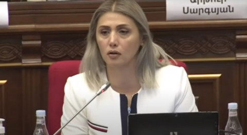 Քիչ է մնում ասեք՝ կարտոֆիլը թանկացել է, խառը կանաչի կերեք. Էլինար Վարդանյանը՝ Արտակ Մանուկյանին