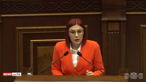 Պարոն Պապոյան, ո՞ւր են այդ սփյուռքահայերը, ջուր կտրեցին մեր աչքերը. Ագնեսա Խամոյանը հեգնեց