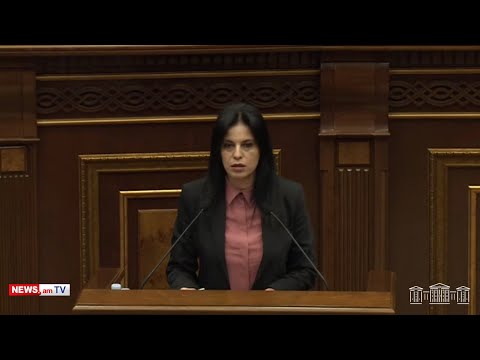Տպավորություն է՝ ներդրումներին խանգարում էր Արցախը և հազարավոր զոհված տղաները. Արեգնազ Մանուկյան