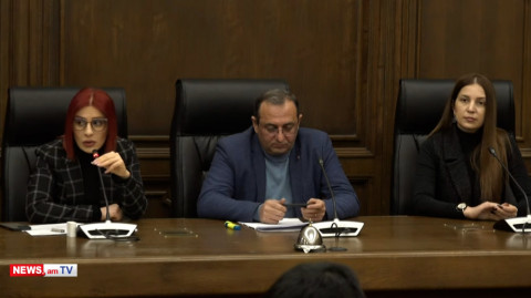 Փաշինյանը երեկ հազիվ էր զսպում, որ չասեր՝ Արցախն Ադրբեջան է եւ վերջ. Ագնեսա Խամոյան