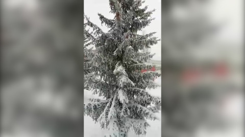 Ձյան առատ տեղումներ Թալինում