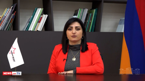 Աշխարհը պետք է շտապ արձագանքի Արցախում սկսվող հումանիտար ճգնաժամին. Թագուհի Թովմասյան