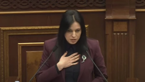 Երկիրը պետք է մաքրել ներսից քայքայող միջատներից. Արեգնազ Մանուկյանը՝ իշխանությունների մասին
