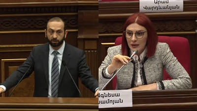 Ընդունելի՞ է Արցախի՝ Ադրբեջանի կազմում լինելու տարբերակը. Ագնեսա Խամոյանի հարցը՝ ԱԳ նախարարին