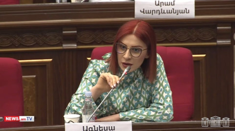 Որքանո՞վ եք ադեկվատ համարում ձեր պահվածքը. Ագնեսա Խամոյանը՝ Վահագն Հովակիմյանին