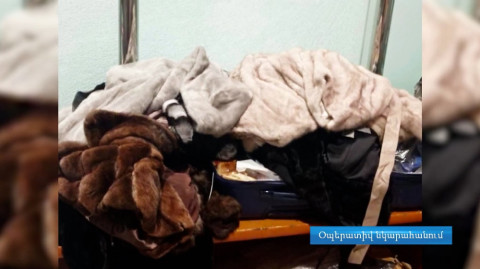 Փորձ է արվել Հայաստան ներմուծել չհայտարարագրված բնական մուշտակներ. ՊԵԿ