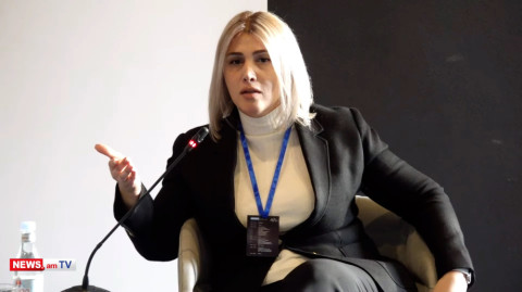 Այս իշխանությունները խաբելու մեծագույն վարպետներ են. Էլինար Վարդանյան